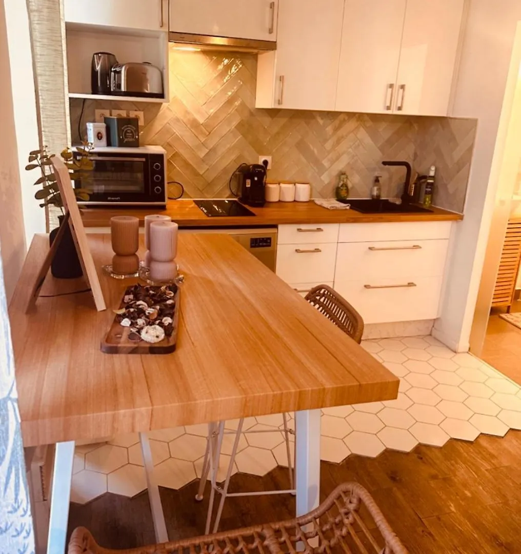 Grand T1 De 38 M2 Au Design Epuree Appartement Marseilles